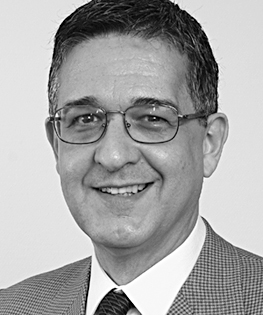 Professor Paulo F.C. Salles de Toledo  picture